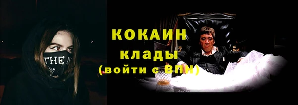 крисы Балахна