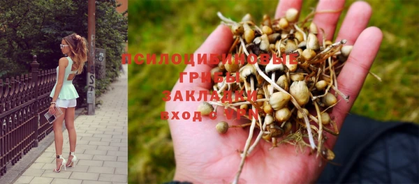 синтетический гашиш Баксан