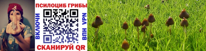 Галлюциногенные грибы GOLDEN TEACHER  купить наркотик  Зверево 
